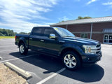 Used 2019 Ford F150 Platinum w/ Equipment Group 701A Luxury image 2