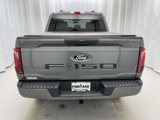 New 2025 Ford F150 STX w/ STX Black Appearance Package image 4