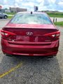 Used 2016 Hyundai Sonata Limited image 5