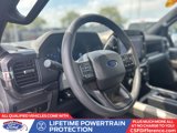 Certified 2024 Ford F150 STX w/ Equipment Group 201A FX4 image 2