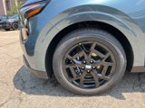 New 2026 Kia Carnival SX Prestige image 6