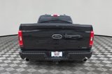 Used 2023 Ford F150 XLT w/ Equipment Group 302A High image 5