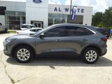 Used 2024 Ford Escape Active image 2
