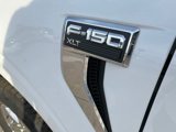 New 2024 Ford F150 XLT w/ Mobile Office Package image 4