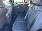 New 2025 Buick Envision Preferred image 6