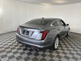 Certified 2021 Cadillac CT5 Luxury w/ Sun And Sound Package image 5