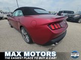 New 2025 Ford Mustang GT Premium image 5