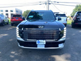 New 2026 Hyundai Palisade Calligraphy image 3