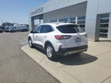 Certified 2020 Ford Escape SE image 3