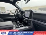 New 2025 Ford F150 XLT w/ Equipment Group 302A MID image 3
