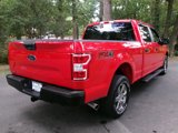 Used 2020 Ford F150 XL w/ Equipment Group 101A Mid image 5