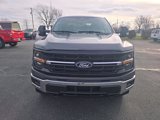 New 2024 Ford F150 XLT w/ Equipment Group 302A MID image 3