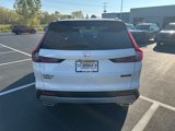 New 2026 Honda CR-V TrailSport image 4