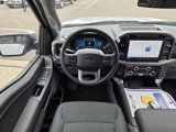 Used 2025 Ford F150 XLT w/ Equipment Group 302A MID image 2