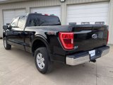 Used 2023 Ford F150 XLT w/ Equipment Group 301A Mid image 5