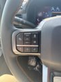 New 2025 Ford F150 Tremor image 3