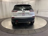 Used 2022 Jeep Cherokee Trailhawk w/ Technology Group B image 6