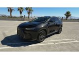 Used 2024 Lexus NX 250 AWD image 4