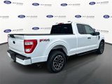 Certified 2023 Ford F150 XL w/ STX Appearance Package image 5