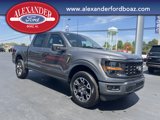 New 2025 Ford F150 STX w/ Equipment Group 200A image 3