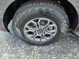 New 2025 Ford Expedition Max Active image 5