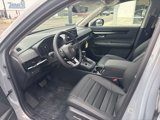 New 2026 Honda CR-V EX-L image 4