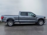 New 2025 Ford F150 XLT image 6