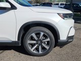 New 2025 Honda Pilot Elite image 6