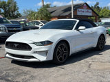 Used 2019 Ford Mustang Premium image 2