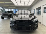 New 2025 Ford Mustang Mach-E Premium w/ Interior Protection Package image 2