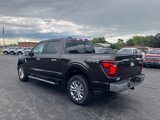 New 2024 Ford F150 XLT w/ Equipment Group 303A High image 3