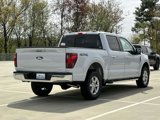 New 2025 Ford F150 XLT image 5