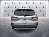 Used 2020 Ford Escape SE image 5
