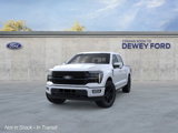 New 2025 Ford F150 Platinum image 2
