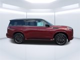 New 2025 INFINITI QX80 Autograph image 2