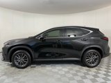 Used 2025 Lexus NX 250 FWD w/ Premium Package image 4