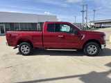 New 2025 Ford F150 XLT w/ Equipment Group 301A Standard image 2