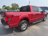 New 2025 Ford F150 XLT w/ Equipment Group 301A Standard image 5