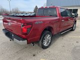 New 2025 Ford F150 XLT w/ Equipment Group 302A MID image 5
