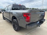 New 2025 Ford F150 XLT image 6