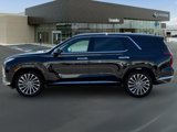 New 2025 Hyundai Palisade Calligraphy image 3