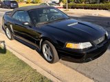 Used 2000 Ford Mustang GT image 5