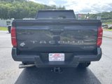 New 2025 Toyota Tacoma TRD Off-Road image 4