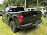New 2025 Ford F150 XLT image 5