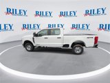 New 2025 Ford F350 XL image 5