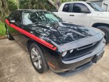 Used 2019 Dodge Challenger SXT image 5