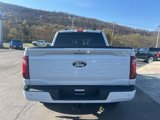 New 2025 Ford F150 XLT w/ Equipment Group 302A MID image 6