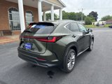 Used 2024 Lexus NX 350 AWD w/ Luxury Package image 5