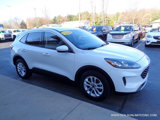 Used 2020 Ford Escape SE image 2