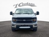 New 2025 Ford F150 XLT image 2